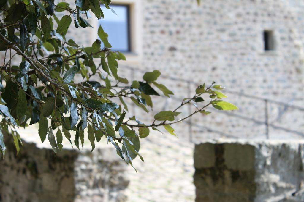 베베리노 Al Castello Da Annamaria 게스트하우스 외부 사진